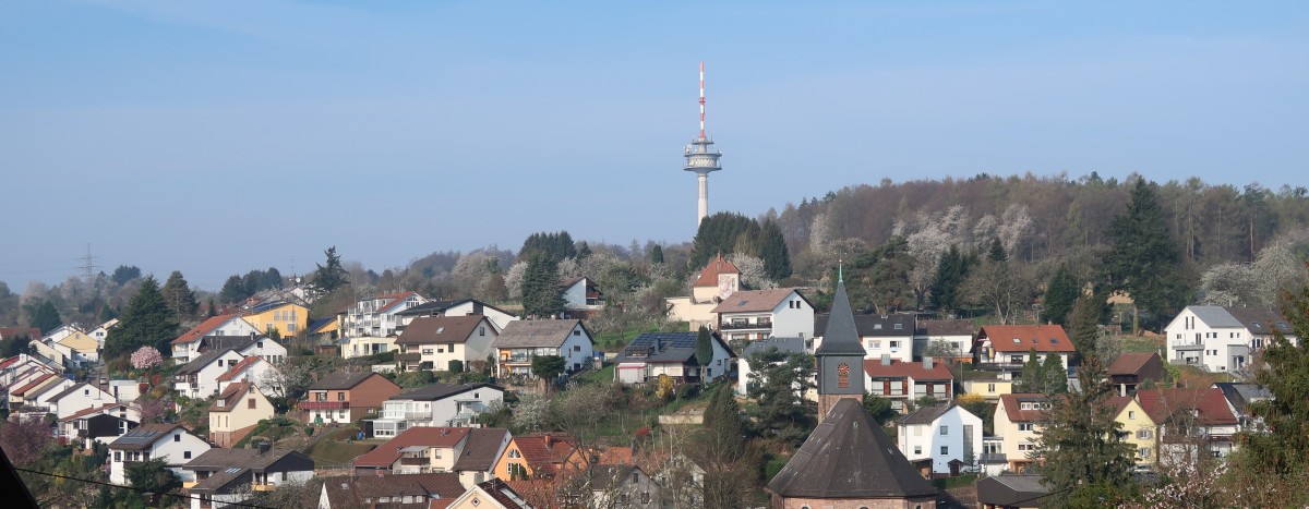 Blick auf Grünwettersbach